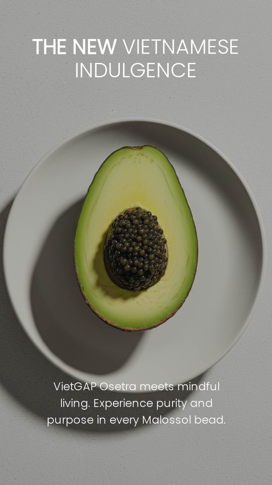 Dưa Leo – Bơ Sáp – Caviar | Khi Ẩm Thực Trở Thành Trạng Thái Tỉnh Thức