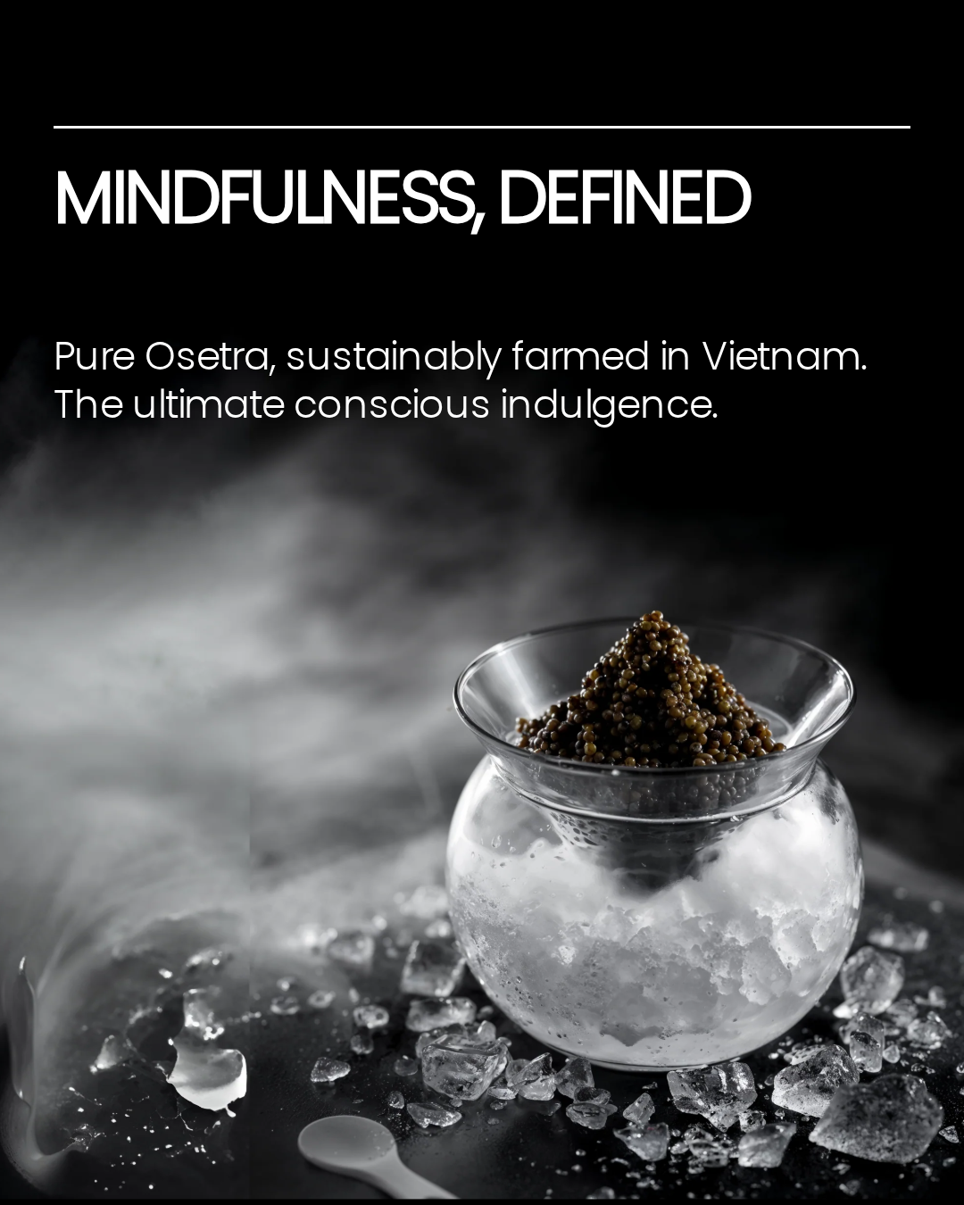 Mindfulness, Defined – Năng lượng tỉnh thức từ Caviar Việt Nam