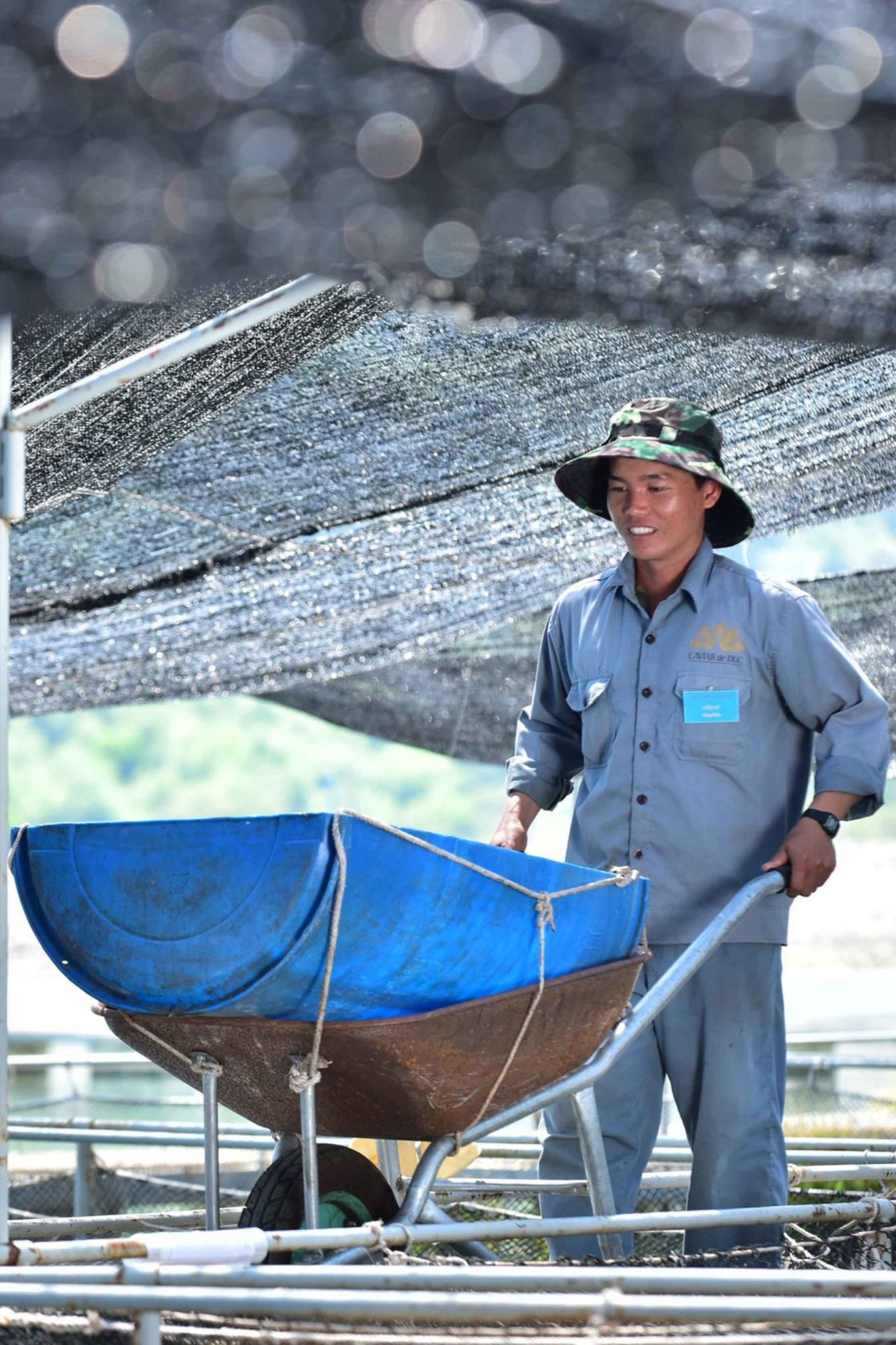 Tắm Nắng Buổi Sáng Và Năng Lượng Tỉnh Thức