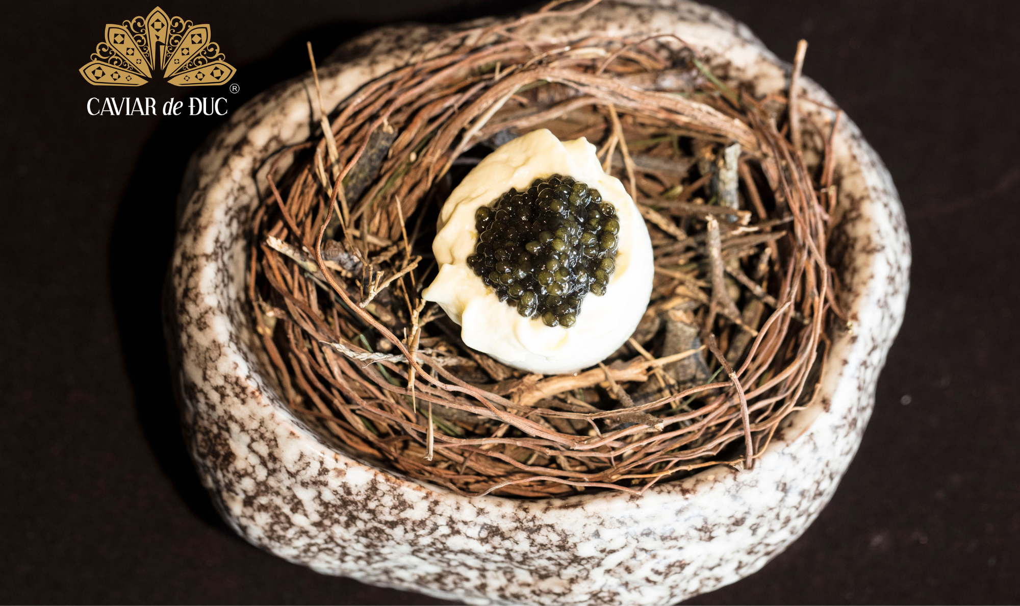 Caviar Việt Nam – Niềm tự hào mang tên Caviar de Đuc