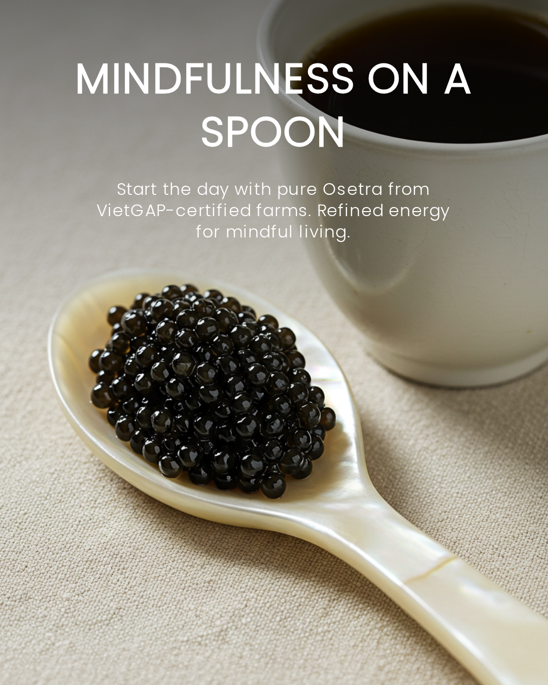 Mindfulness on a Spoon – Năng lượng tỉnh thức trong một thìa caviar
